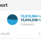 Screenshot: TwitterAudit.com